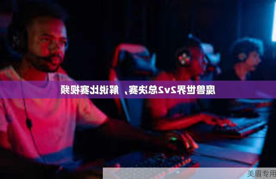 魔兽世界2v2总决赛，解说比赛视频